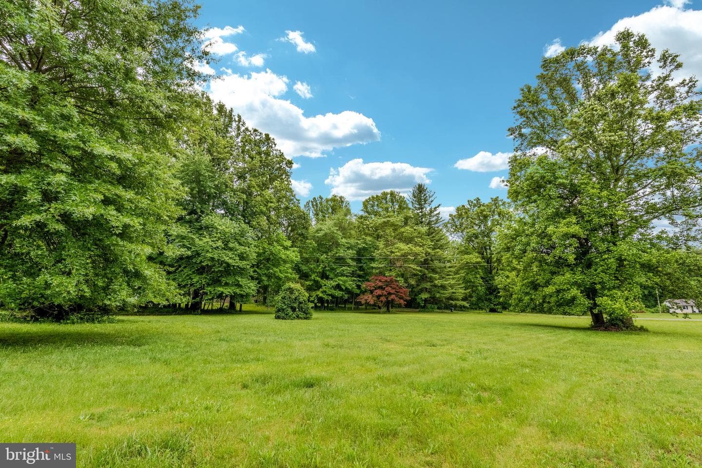 39636 Mossridge Road photo 41