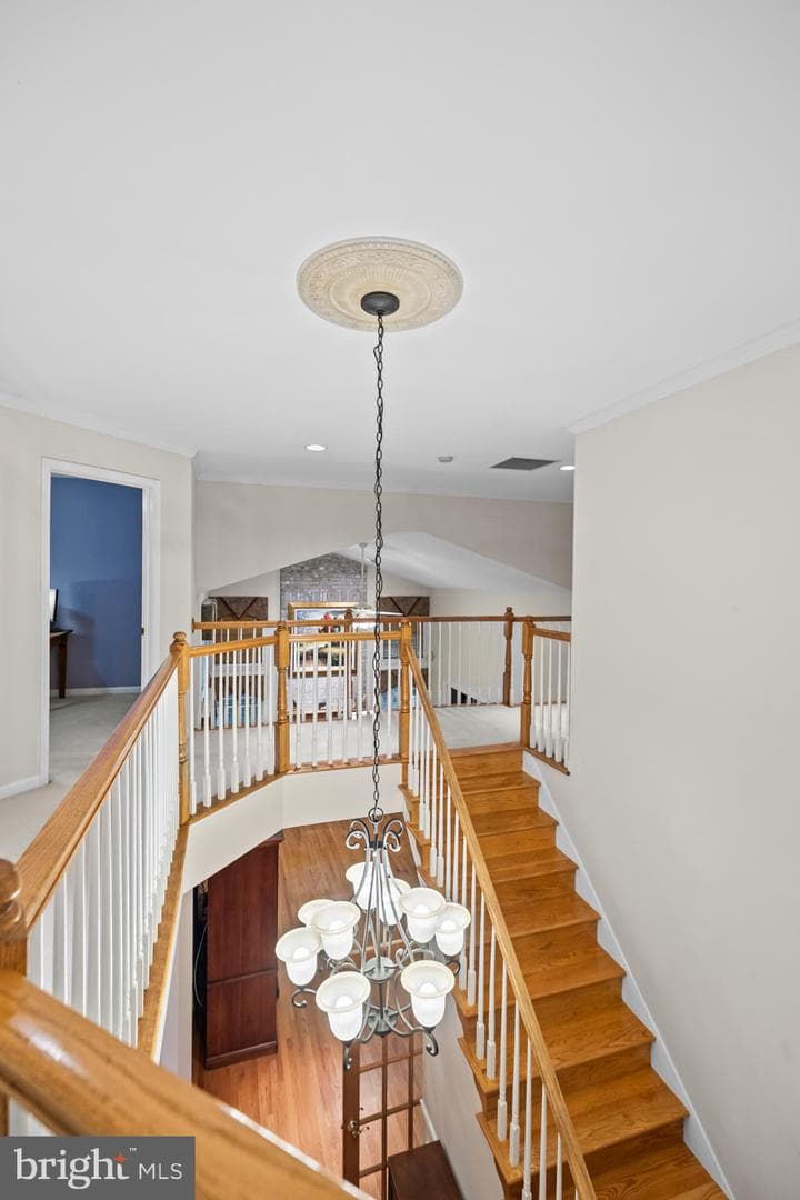 41187 Yakey Lane photo 58