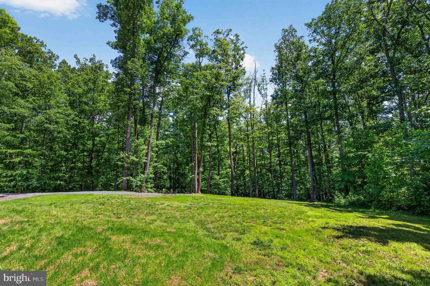 13311 Wilt Store Road photo 54