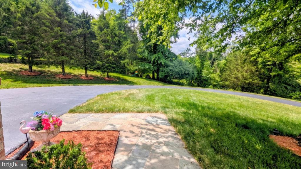 40911 Alysheba Drive photo 40