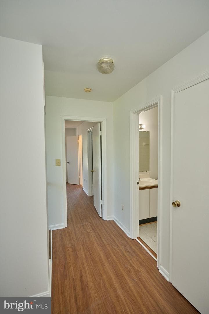 46760 Hobblebush Terrace photo 12