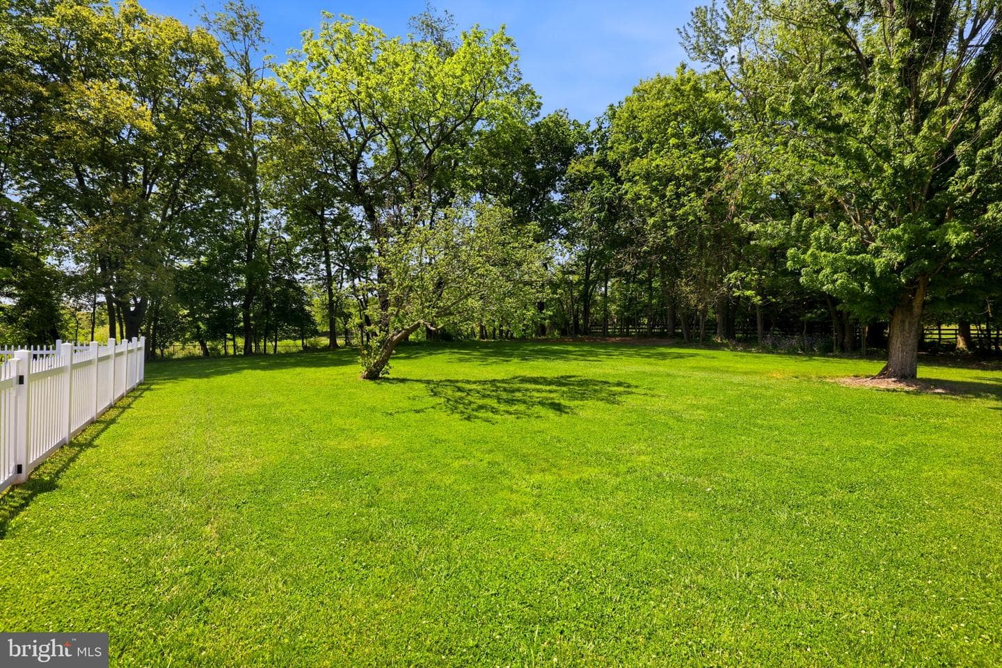 39423 Irish Corner Road photo 144