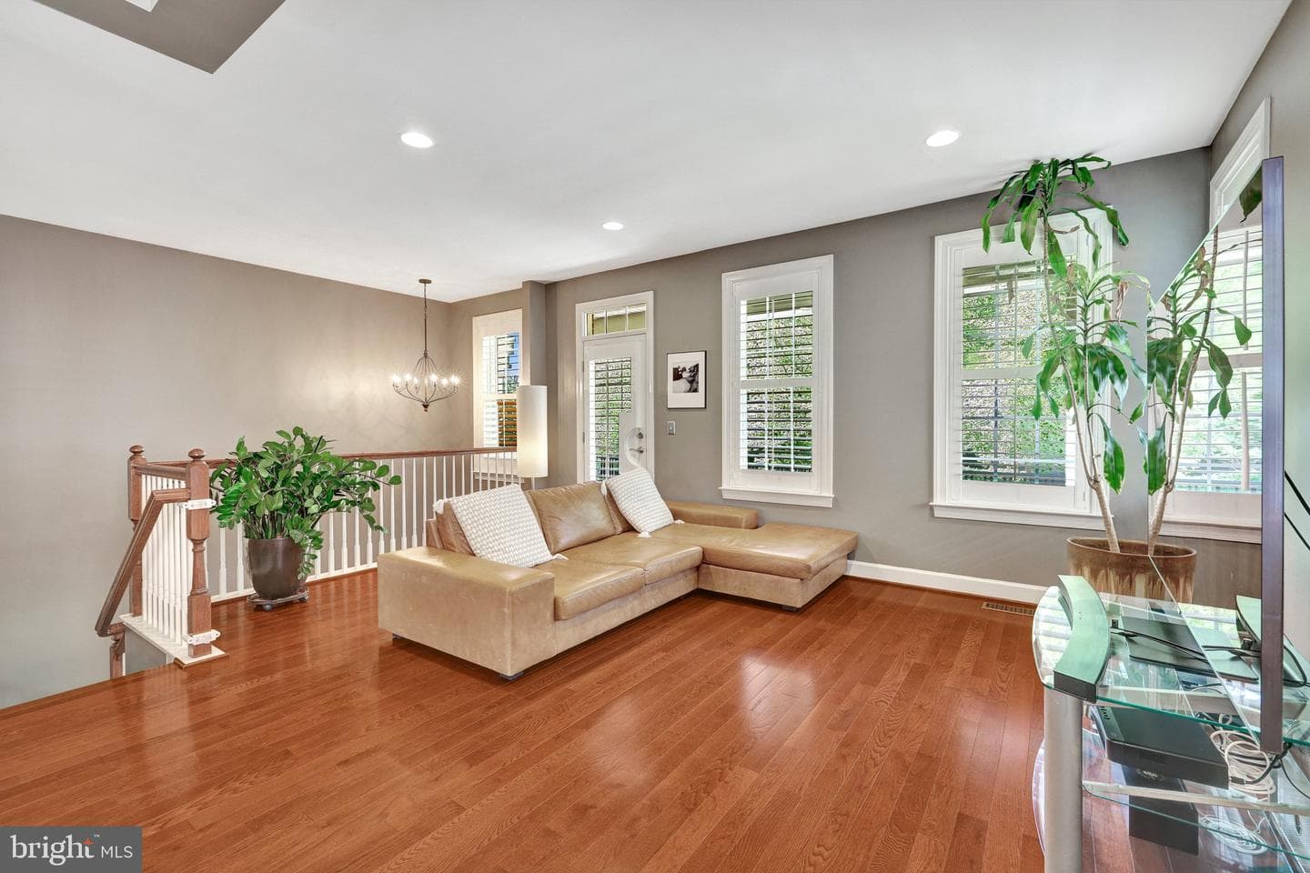 41058 Dorati Square photo 13
