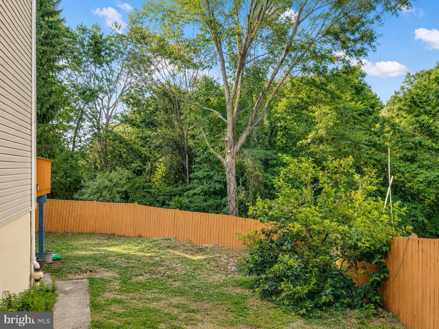 310 Newman Court photo 50