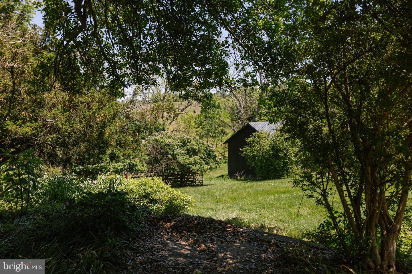 37961 Forest Mills Rd photo 110