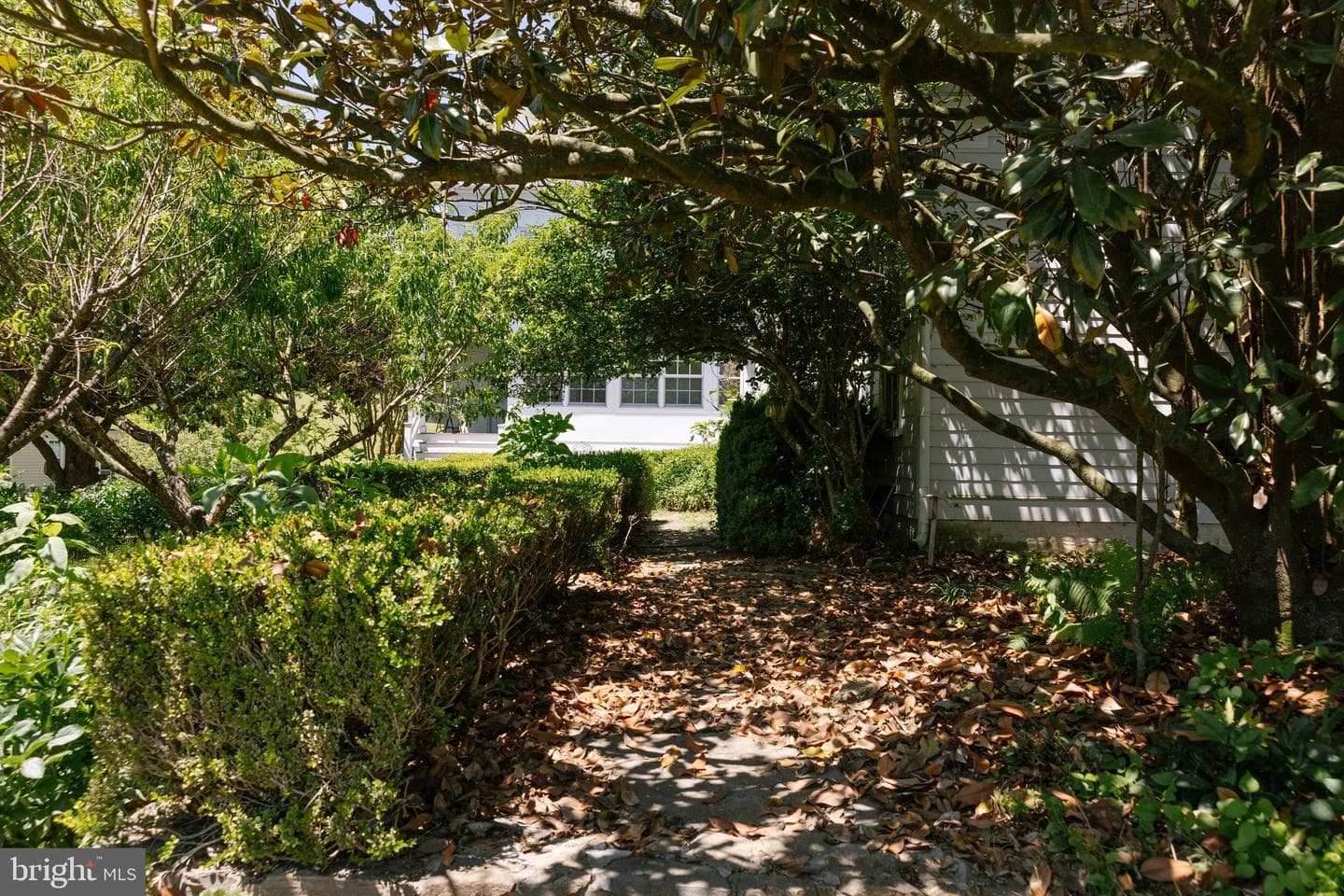 37961 Forest Mills Rd photo 118