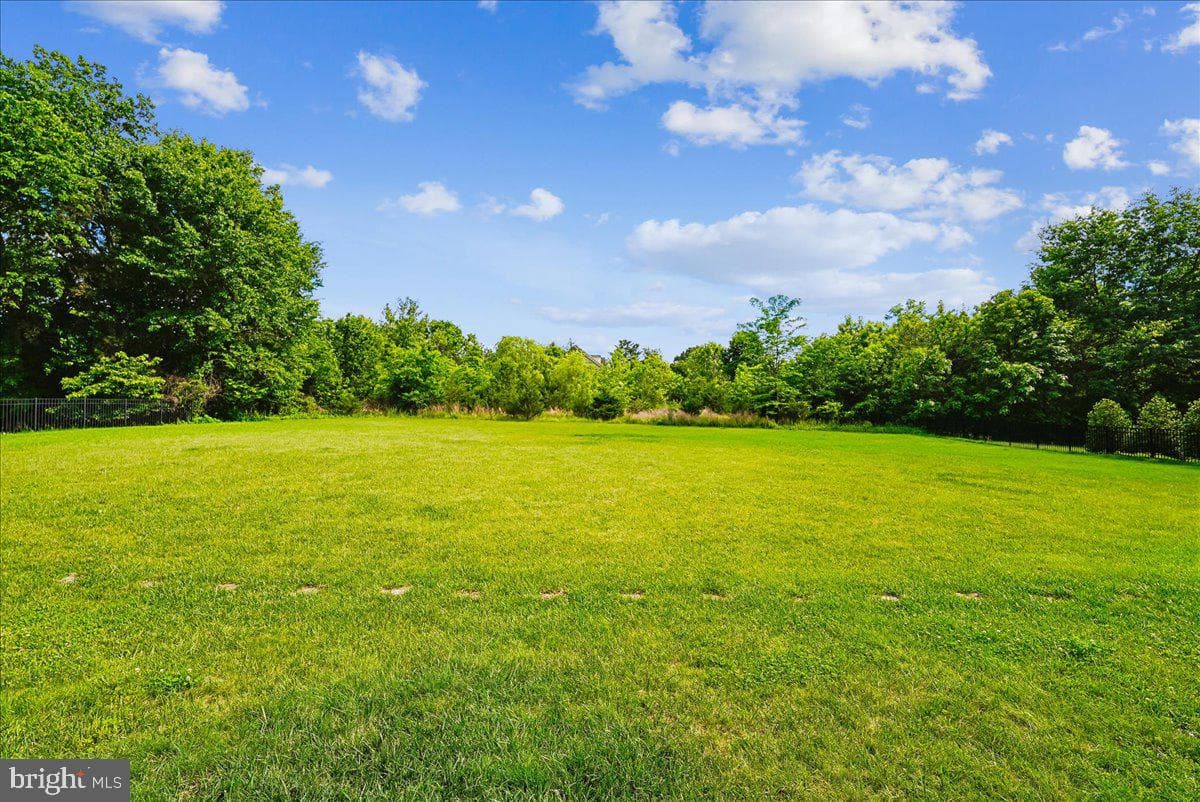 42623 Trappe Rock Court photo 81