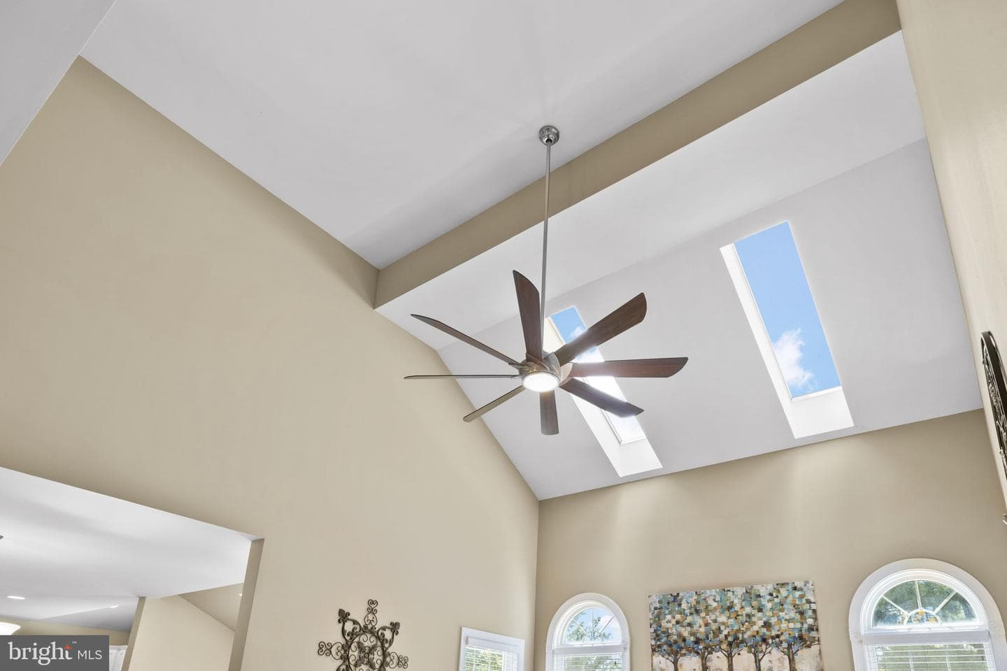 25785 Flyaway photo 26