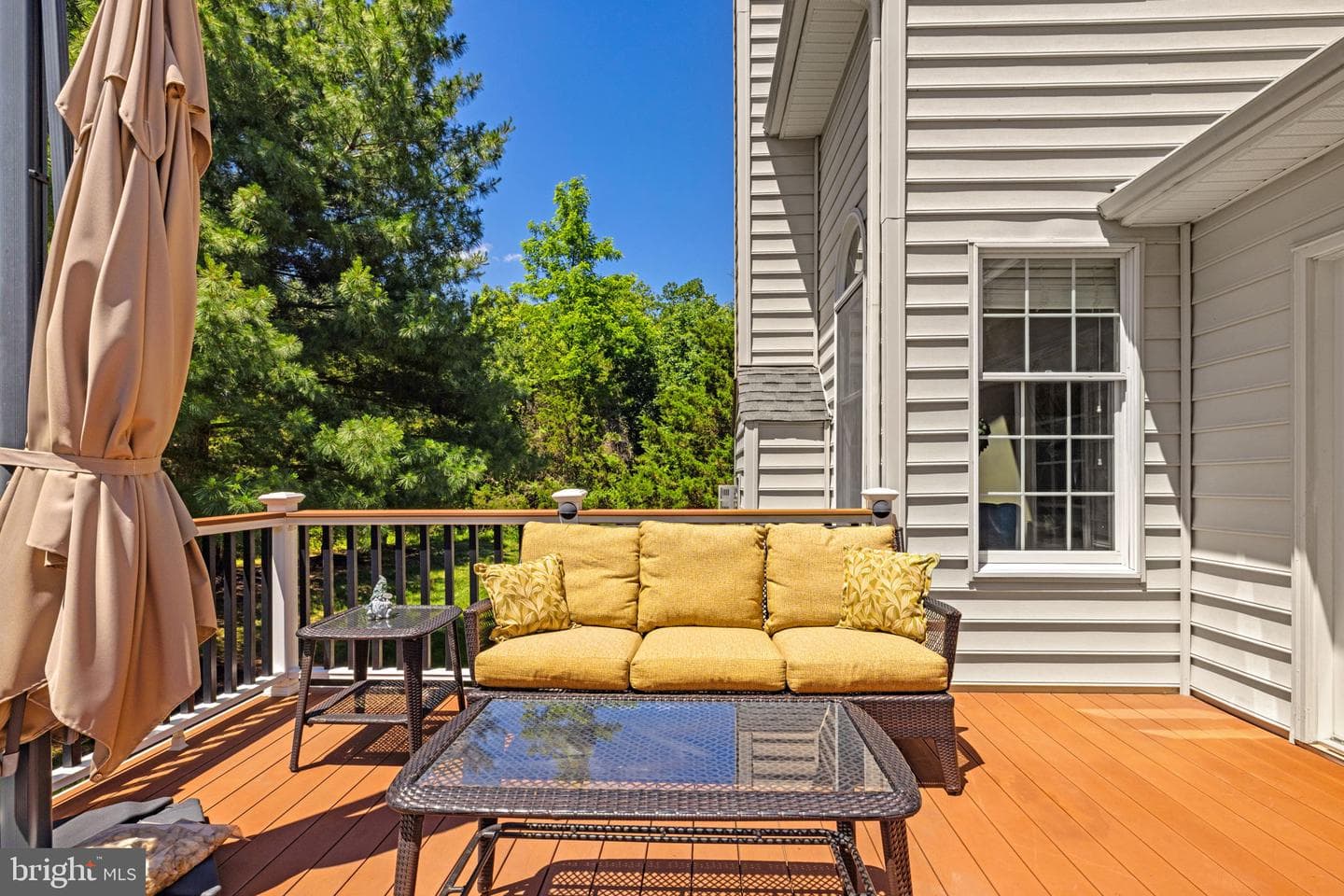 25785 Flyaway photo 63