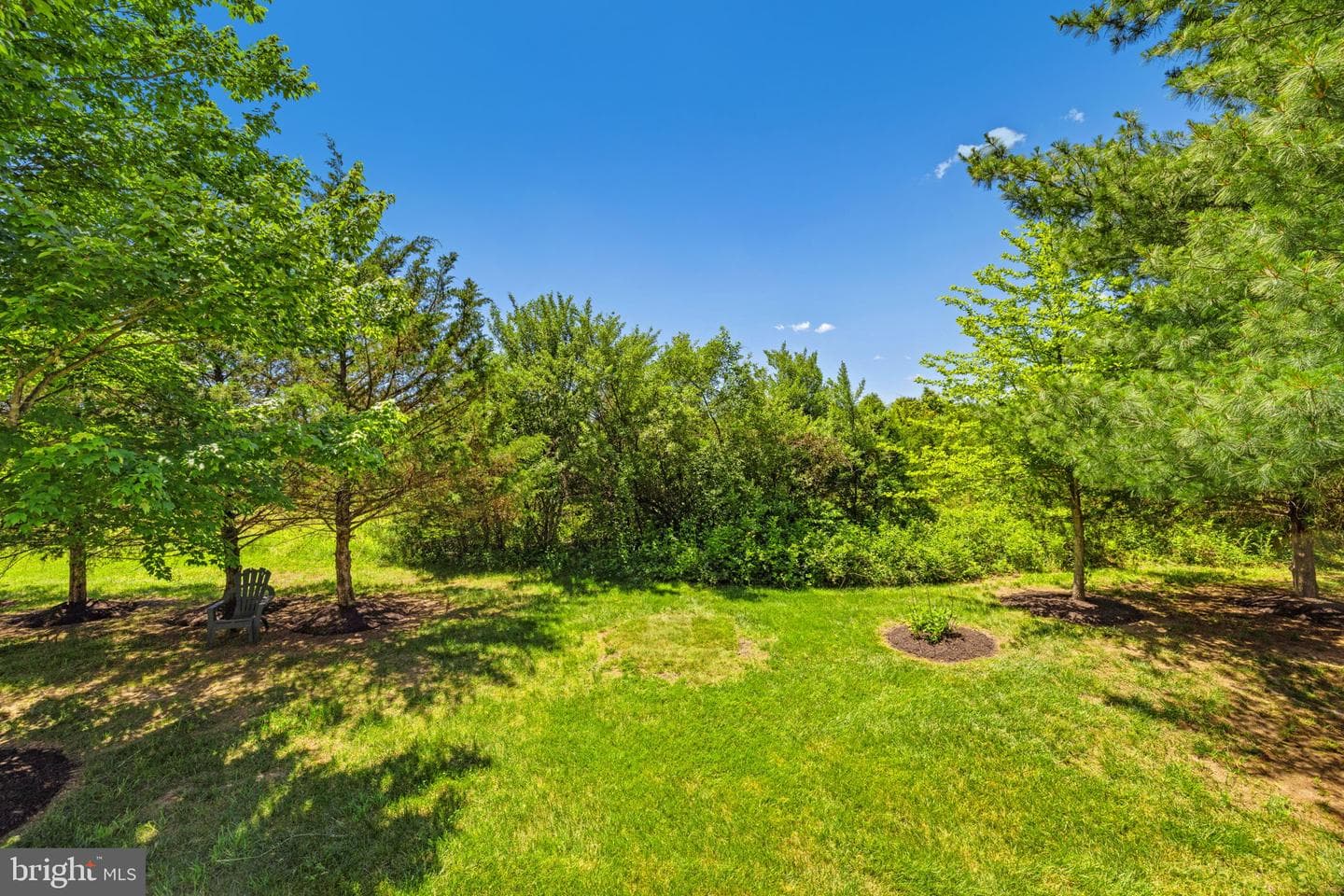 25785 Flyaway photo 66
