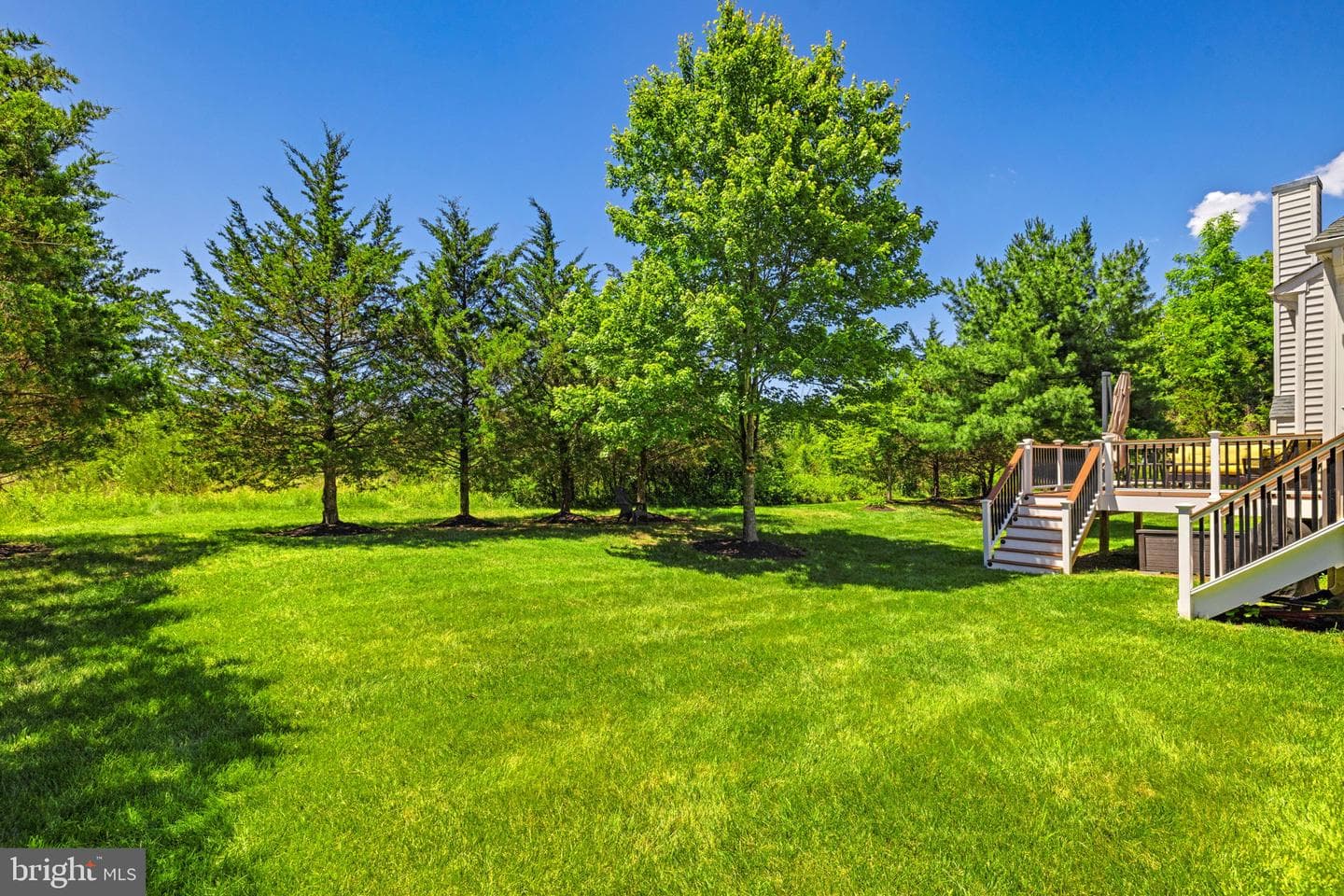 25785 Flyaway photo 71