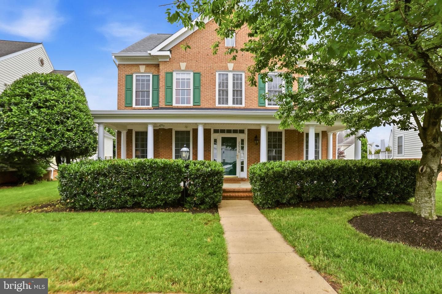 22938 Goldenrod photo 2