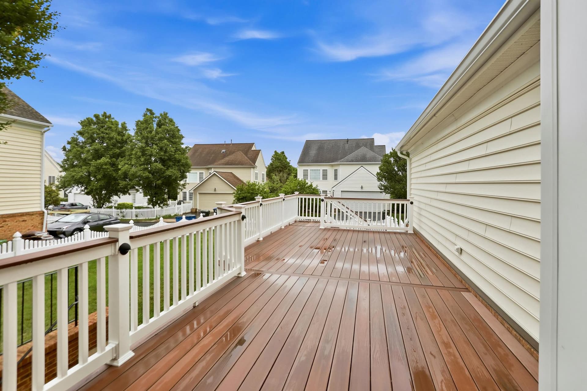 22938 Goldenrod photo 22