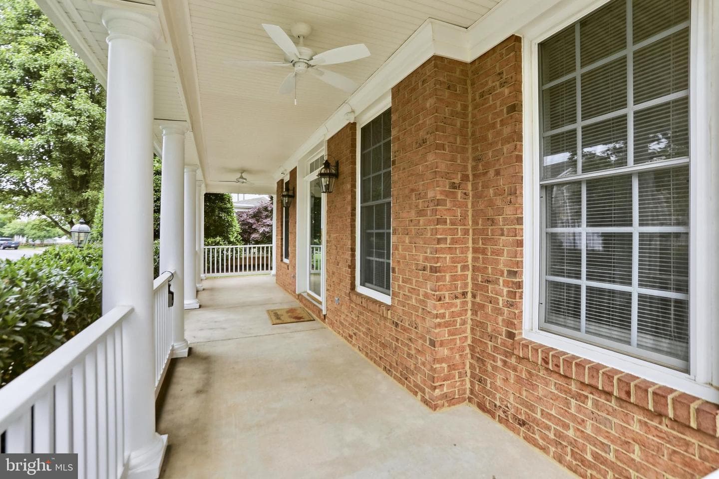 22938 Goldenrod photo 3