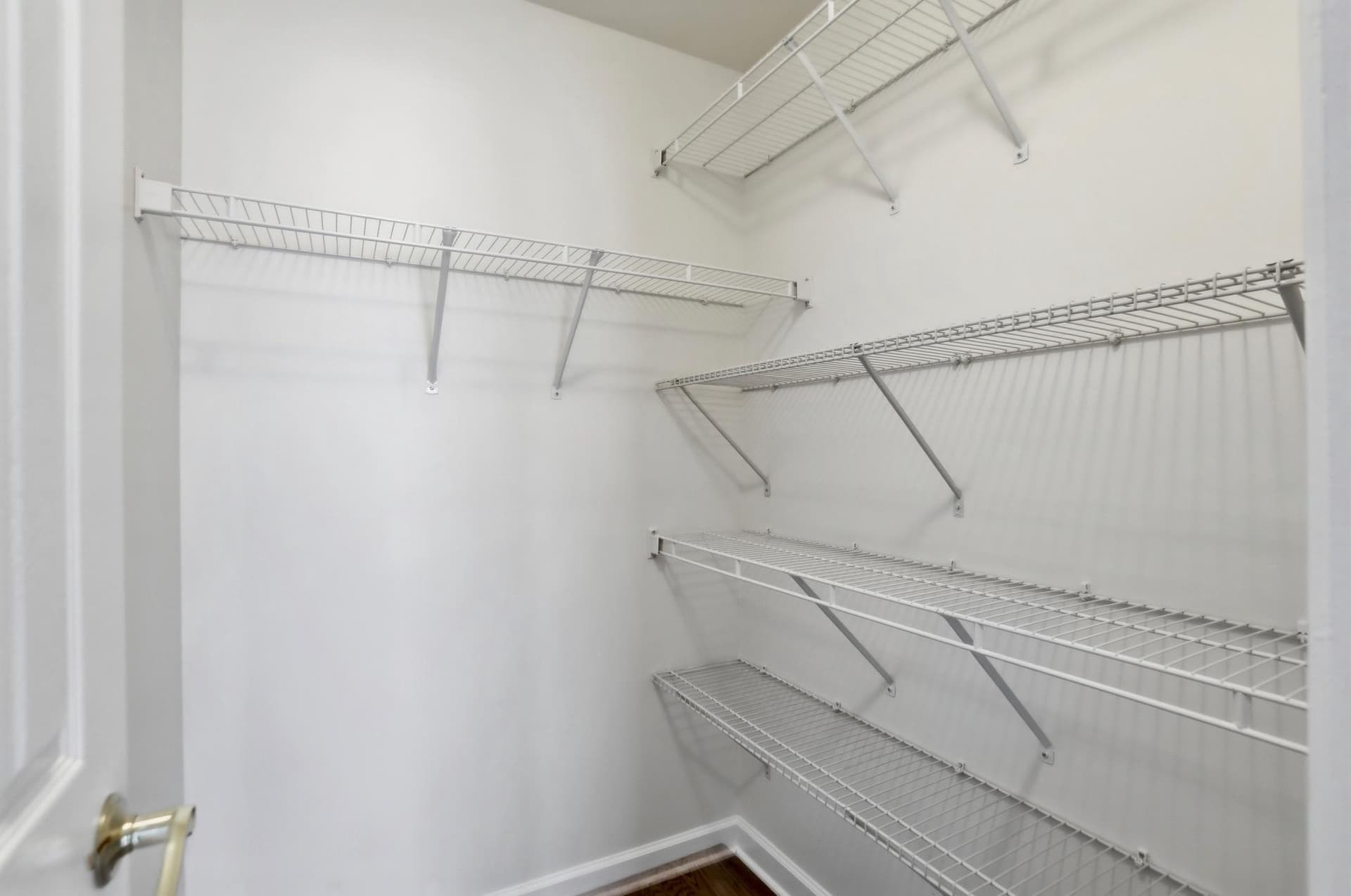 22938 Goldenrod photo 32