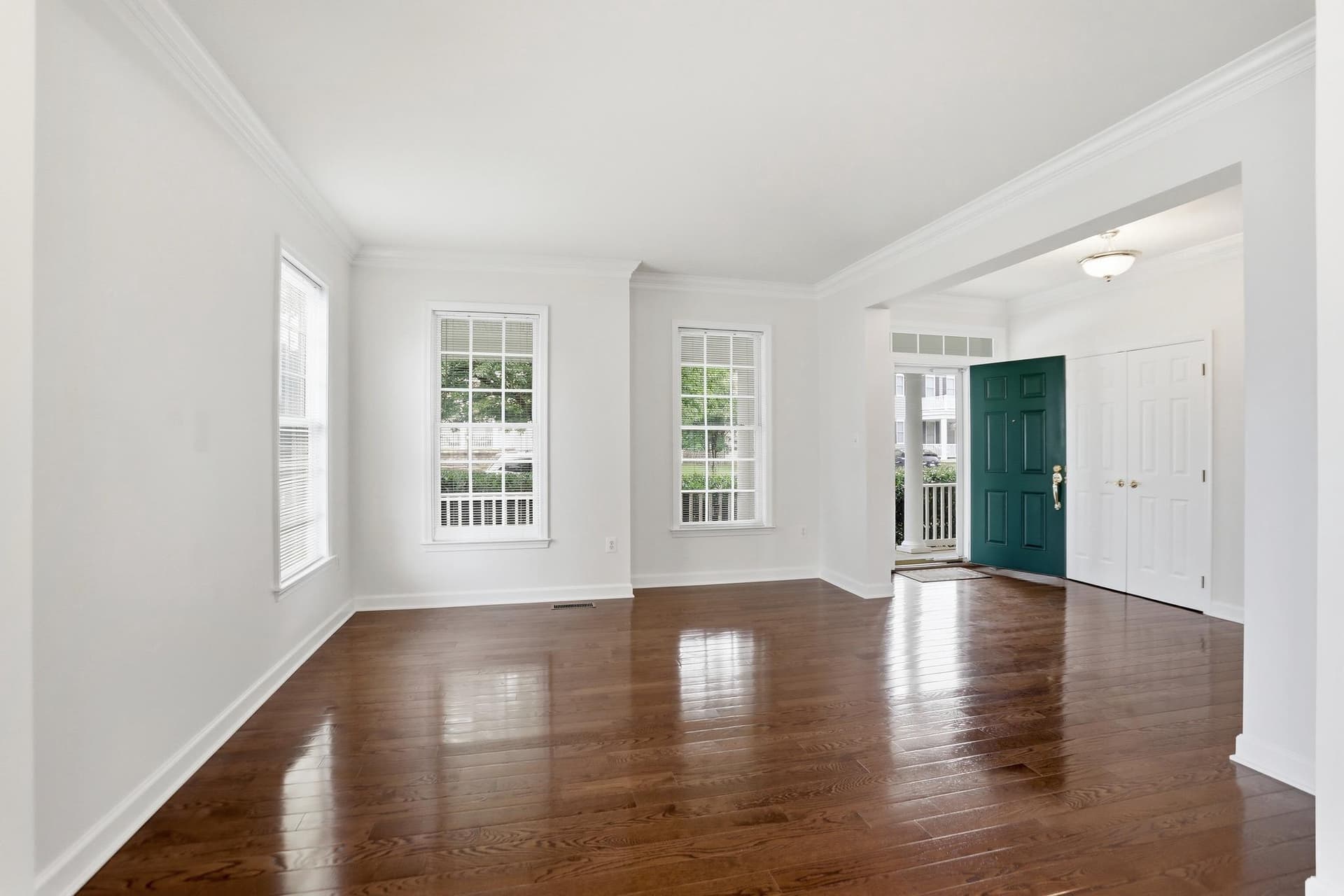 22938 Goldenrod photo 6