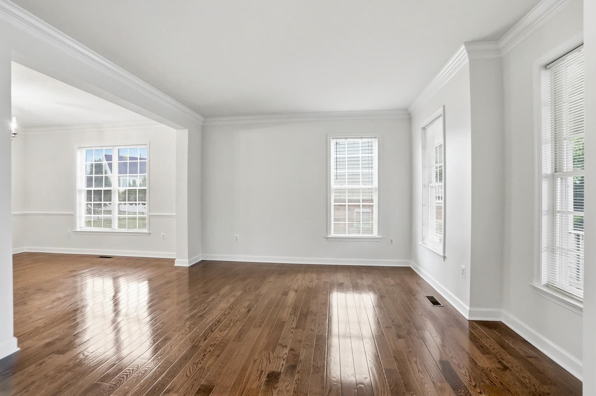 22938 Goldenrod photo 7