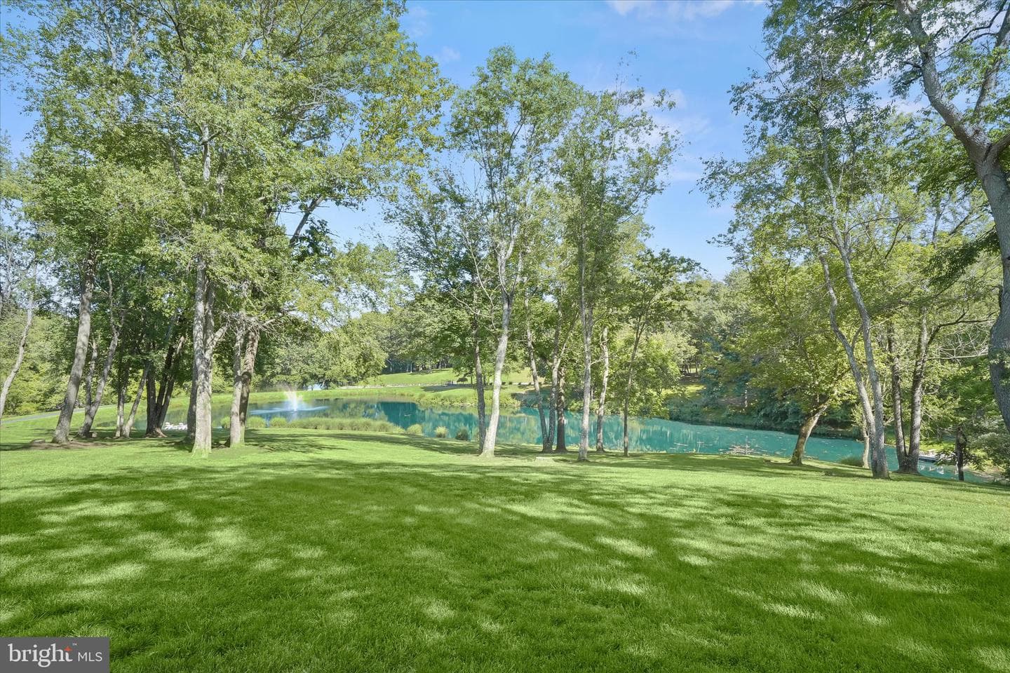 20295 Sommerset Court photo 96