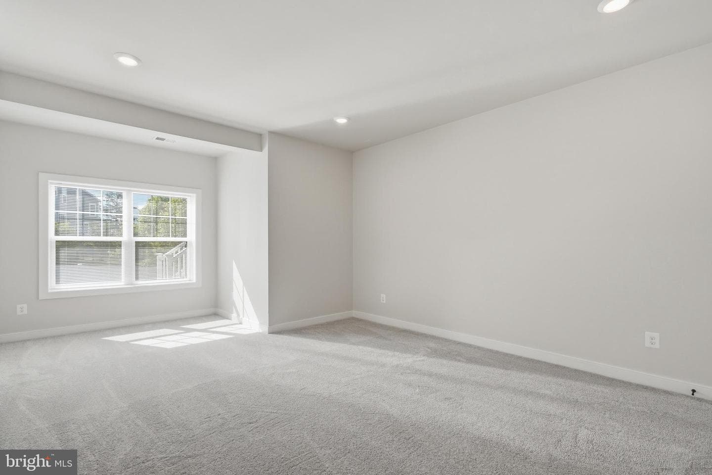 43020 Cattail Marsh Place photo 53
