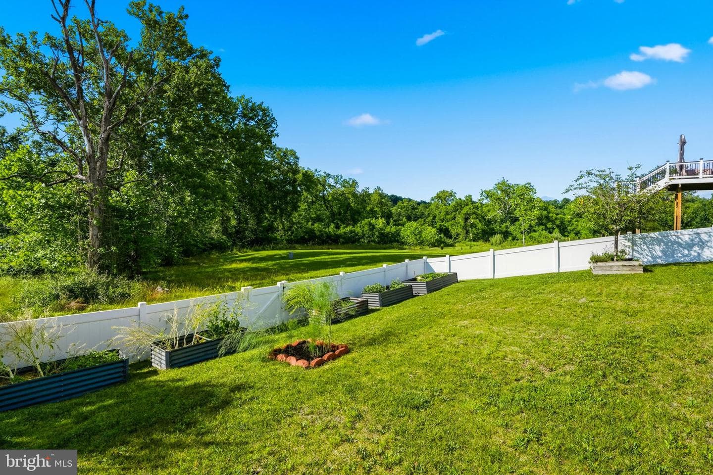 43020 Cattail Marsh Place photo 65