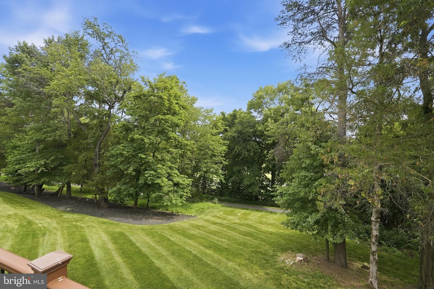 18856 Ridgeback Court photo 66