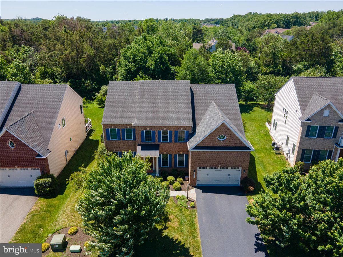 42414 Pine Forest Drive photo 5