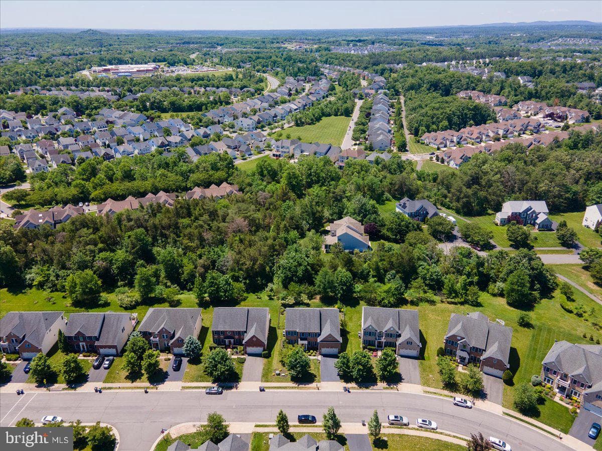 42414 Pine Forest Drive photo 83