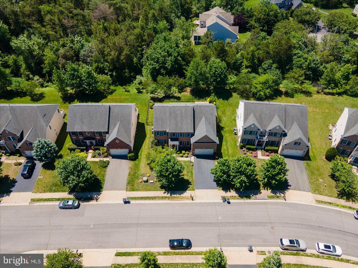 42414 Pine Forest Drive photo 84