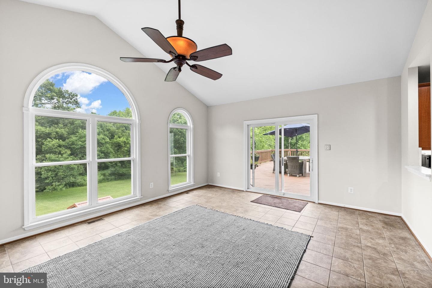 11293 Allium Lane photo 21