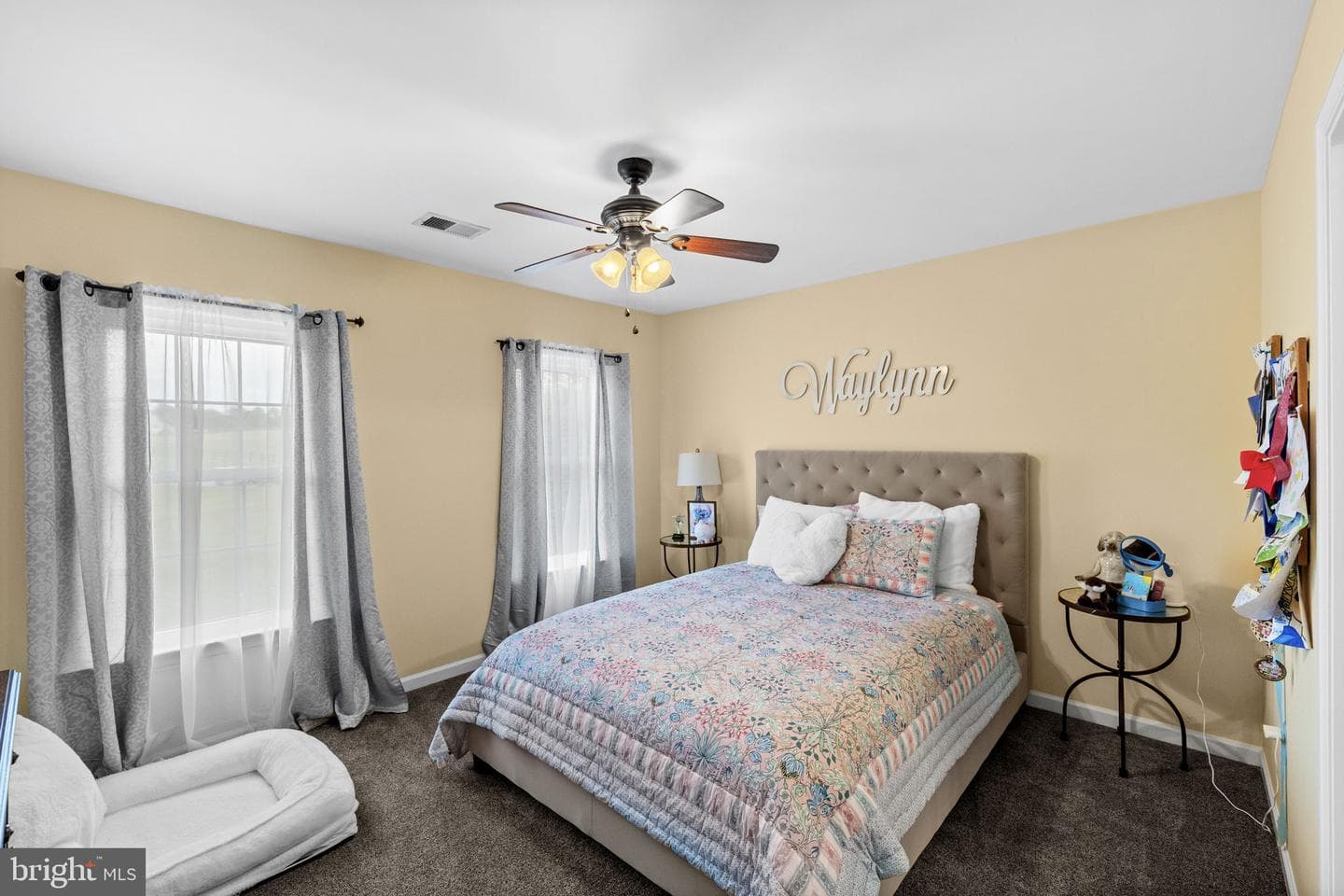11293 Allium Lane photo 33