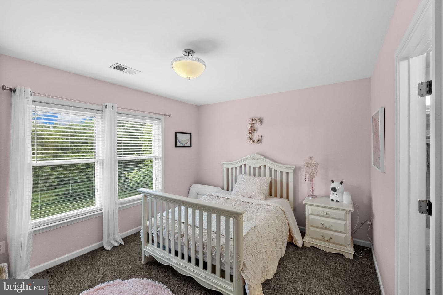 11293 Allium Lane photo 35