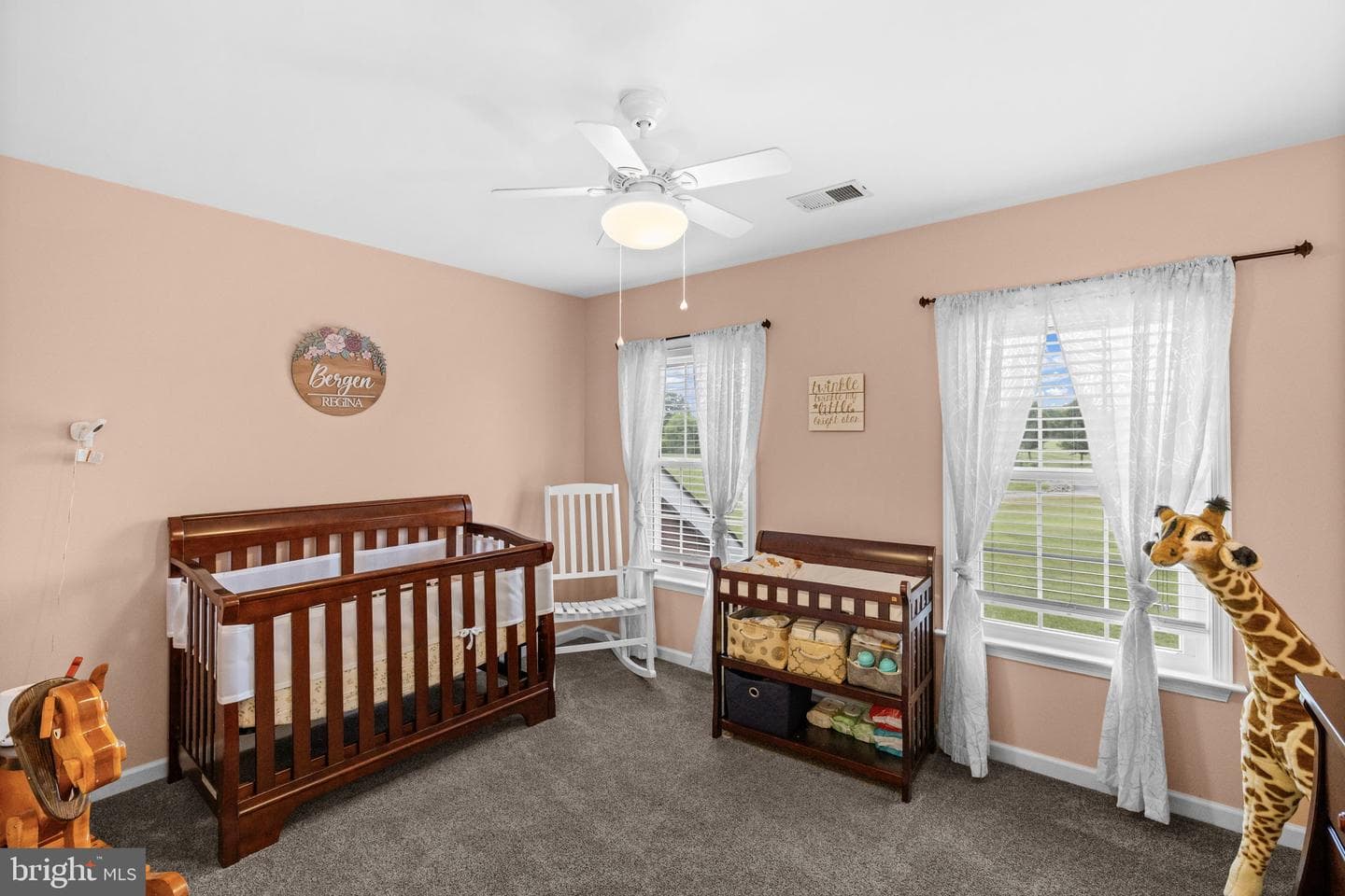 11293 Allium Lane photo 38