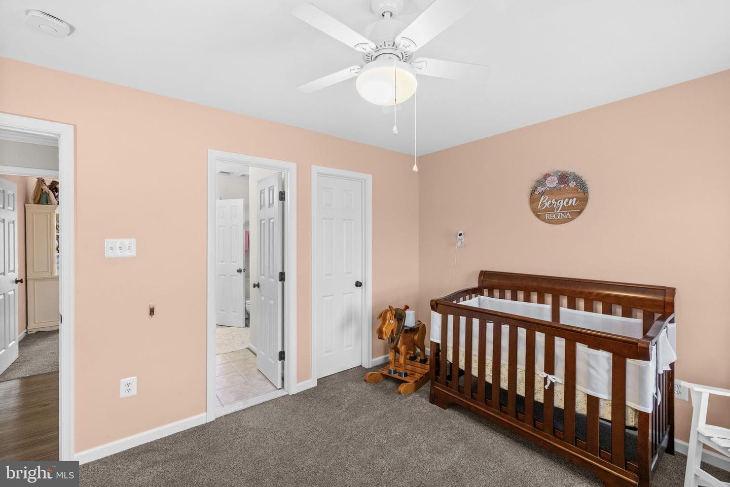 11293 Allium Lane photo 39