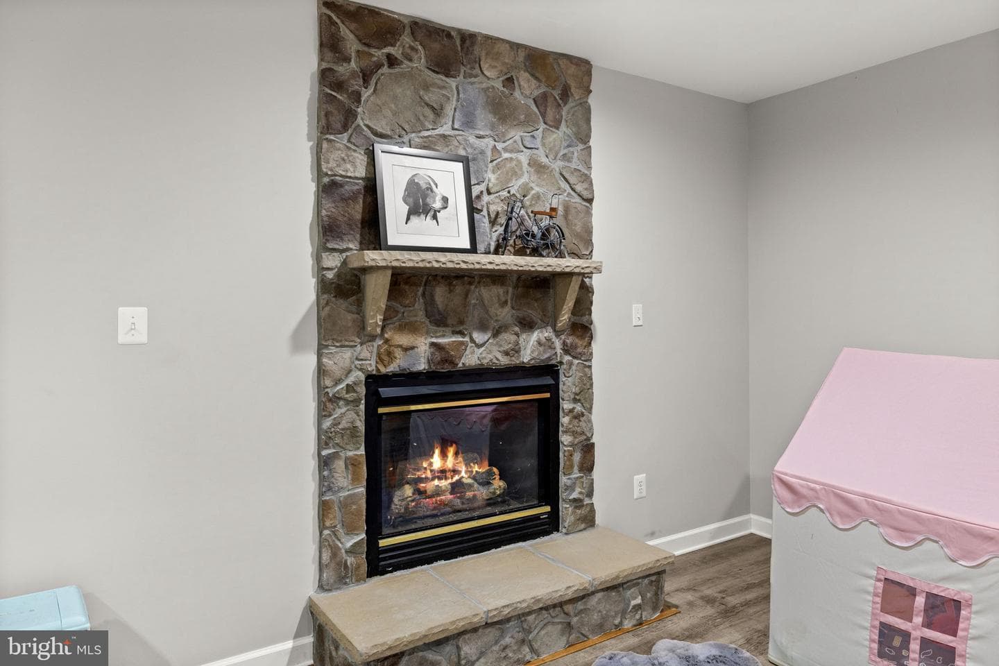 11293 Allium Lane photo 44