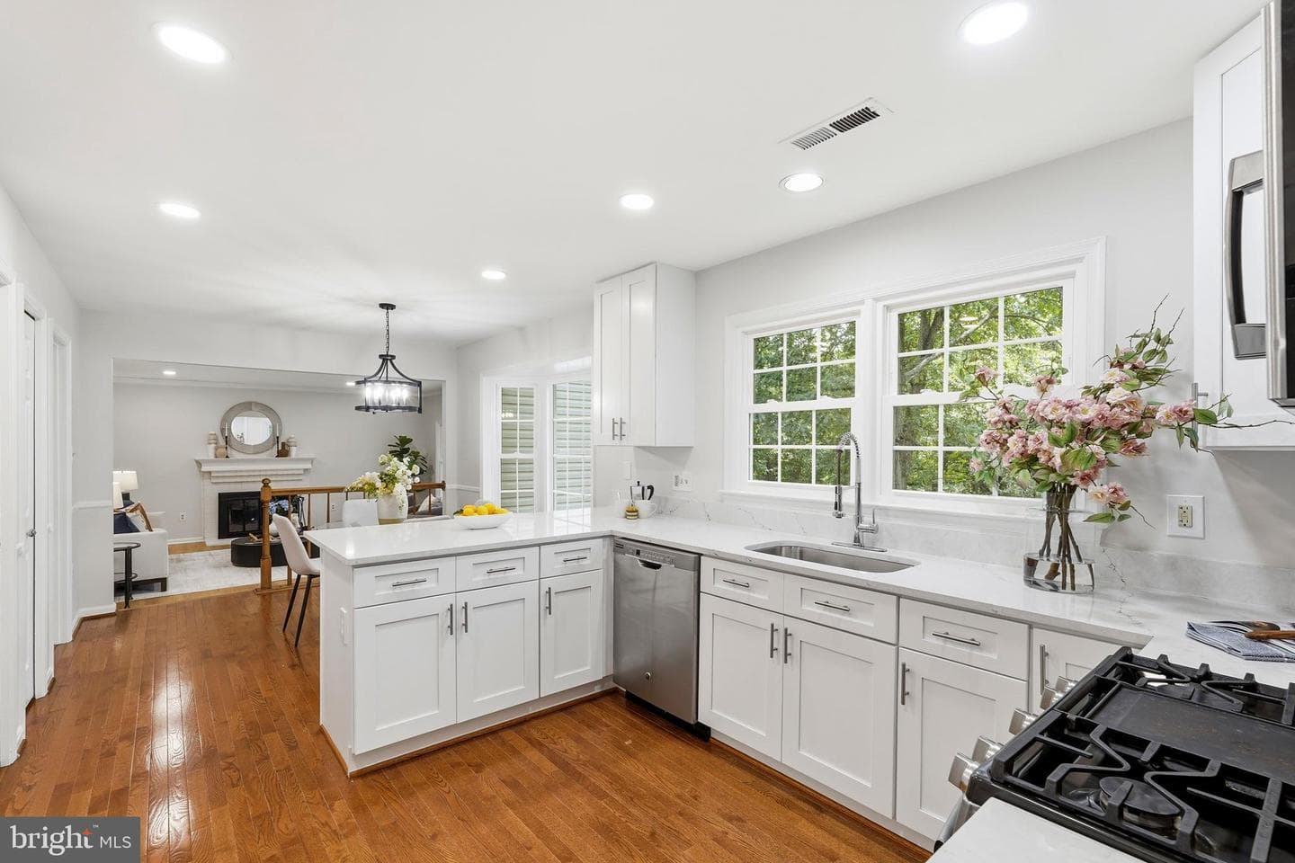 44218 Bristow Circle photo 12