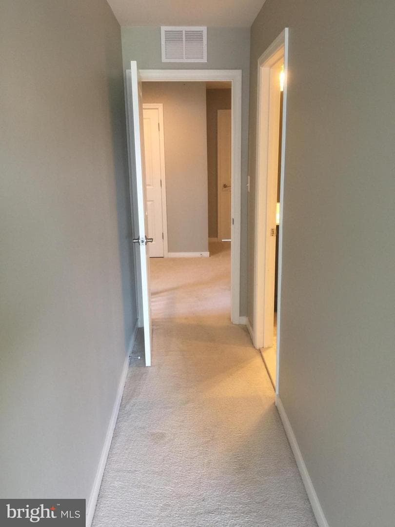 44097 Vaira Terrace #44097 photo 12
