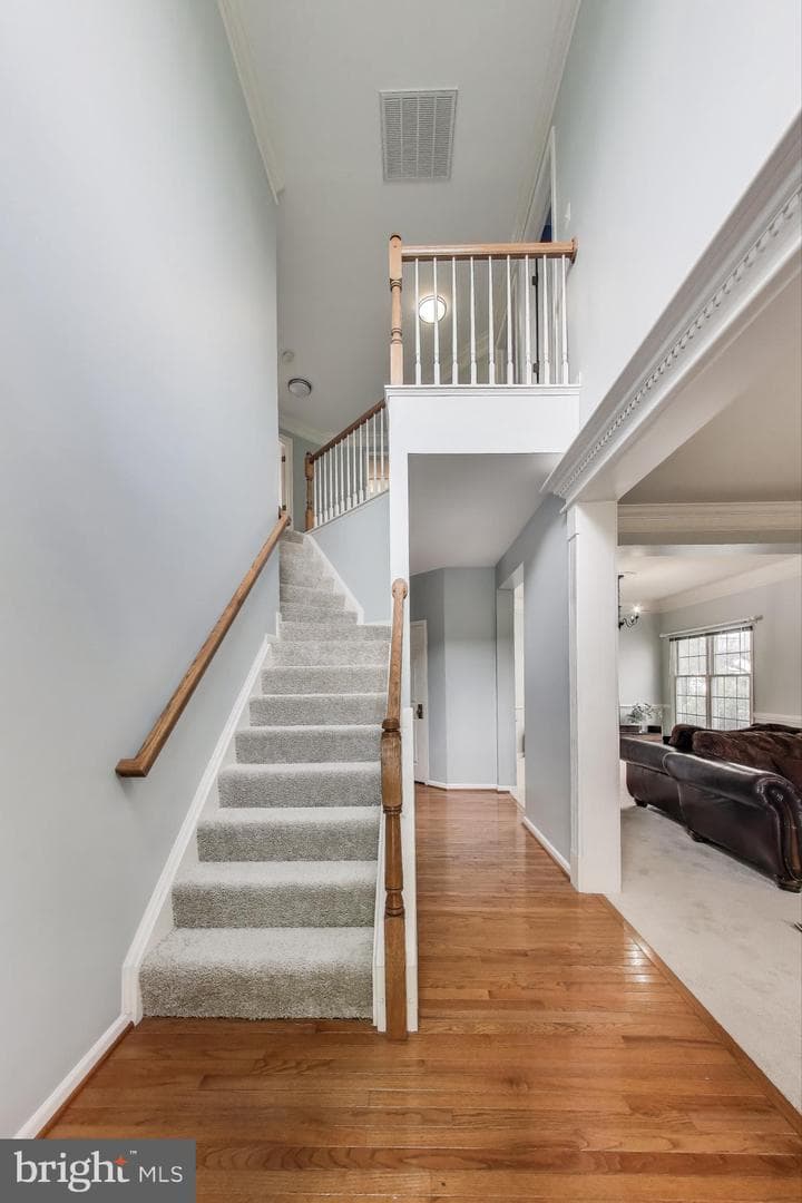 42647 Harris Street photo 5