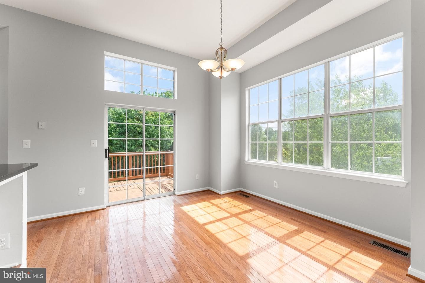 21610 Monmouth Terrace photo 23
