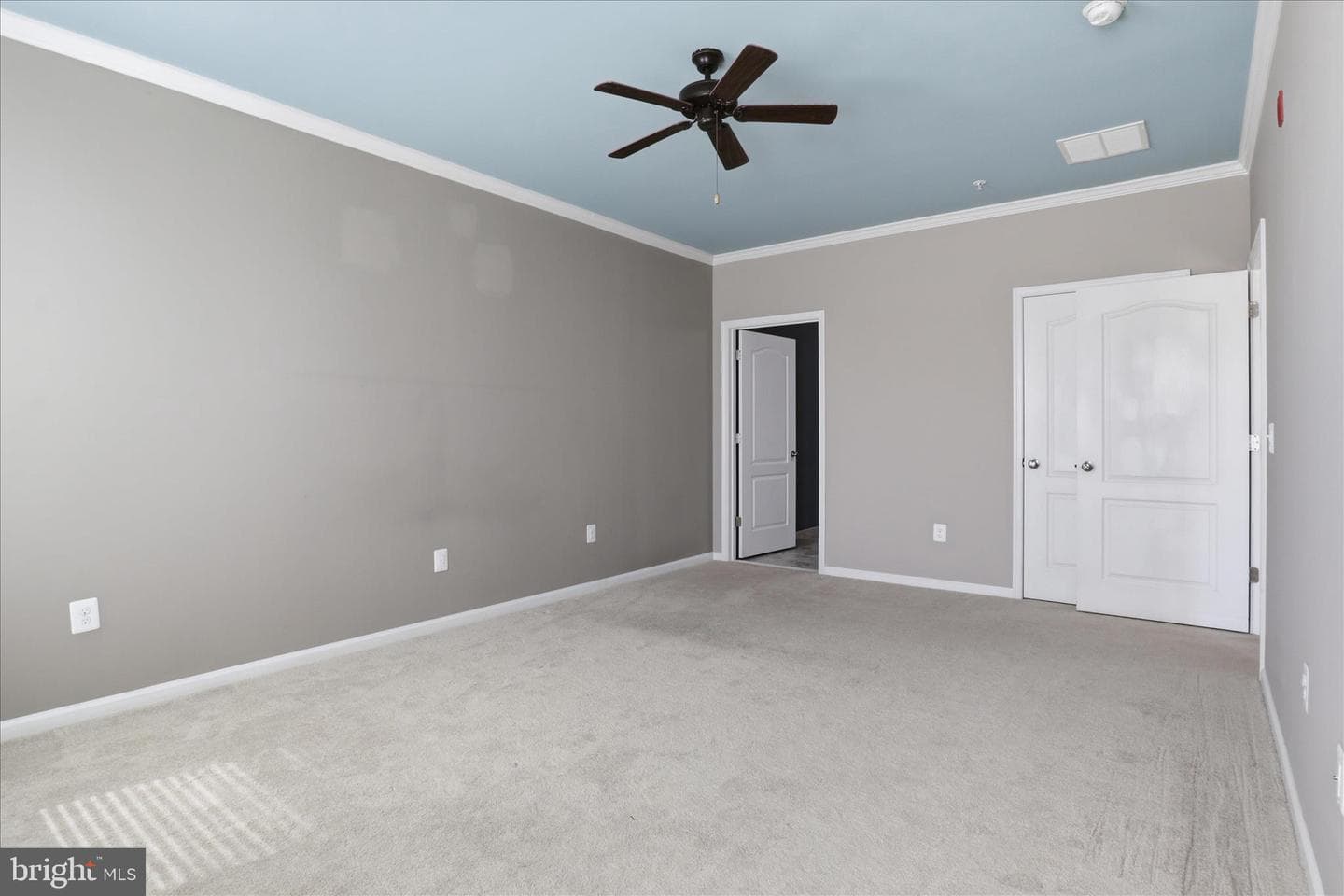 24636 Woolly Mammoth Terrace #202 photo 22
