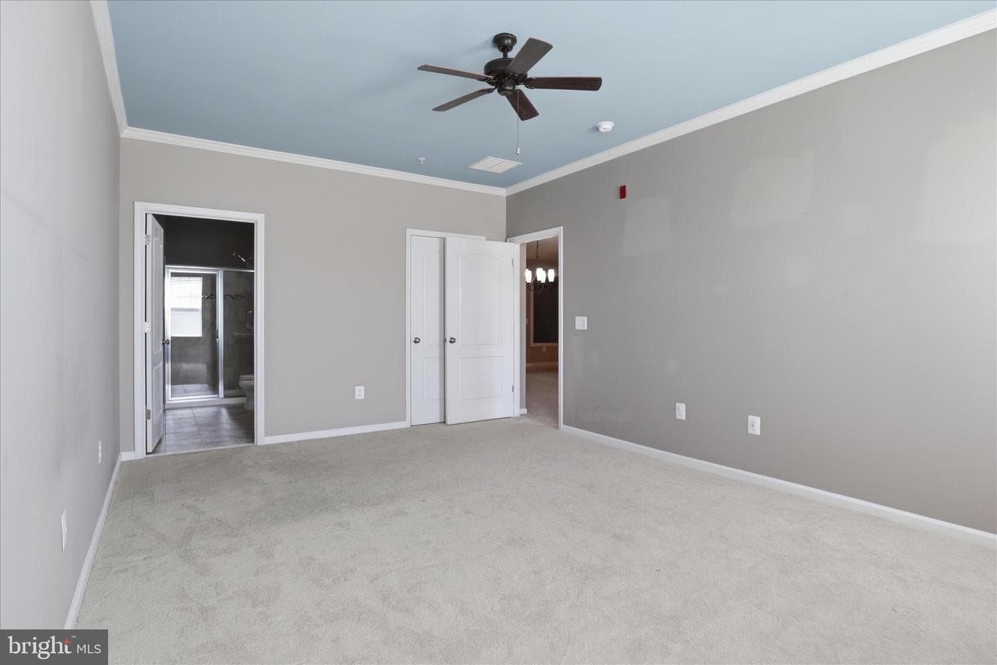 24636 Woolly Mammoth Terrace #202 photo 23