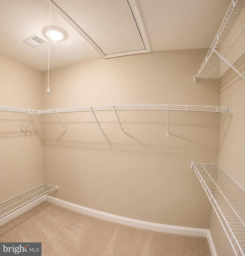 25835 Turlough Terrace photo 46