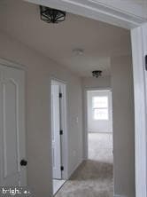 43196 Whelplehill Terrace, Ashburn