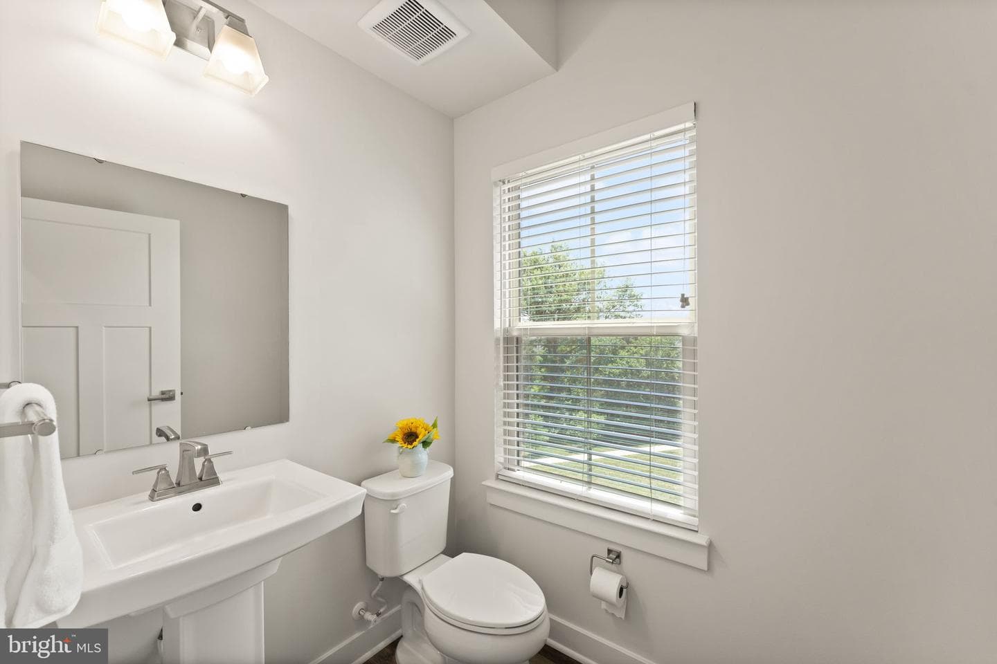 43017 Prophecy Terrace photo 28