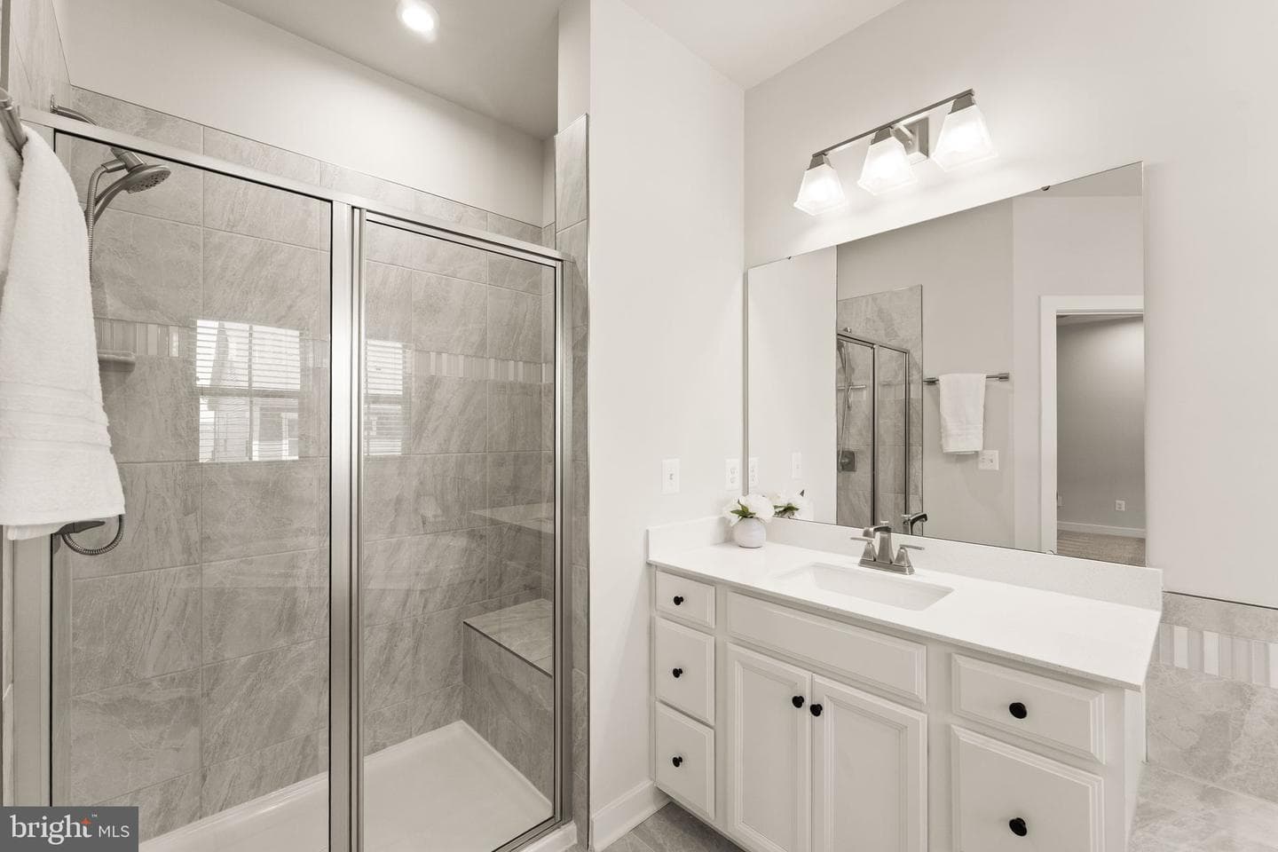 43017 Prophecy Terrace photo 42