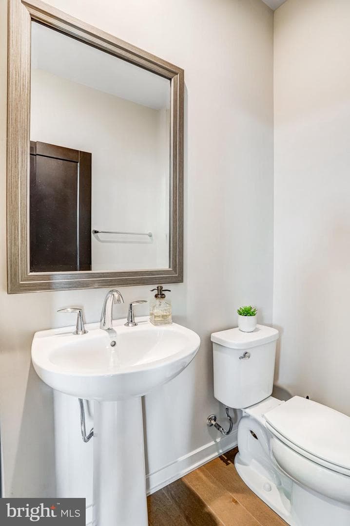 43404 Fifeville Square photo 48