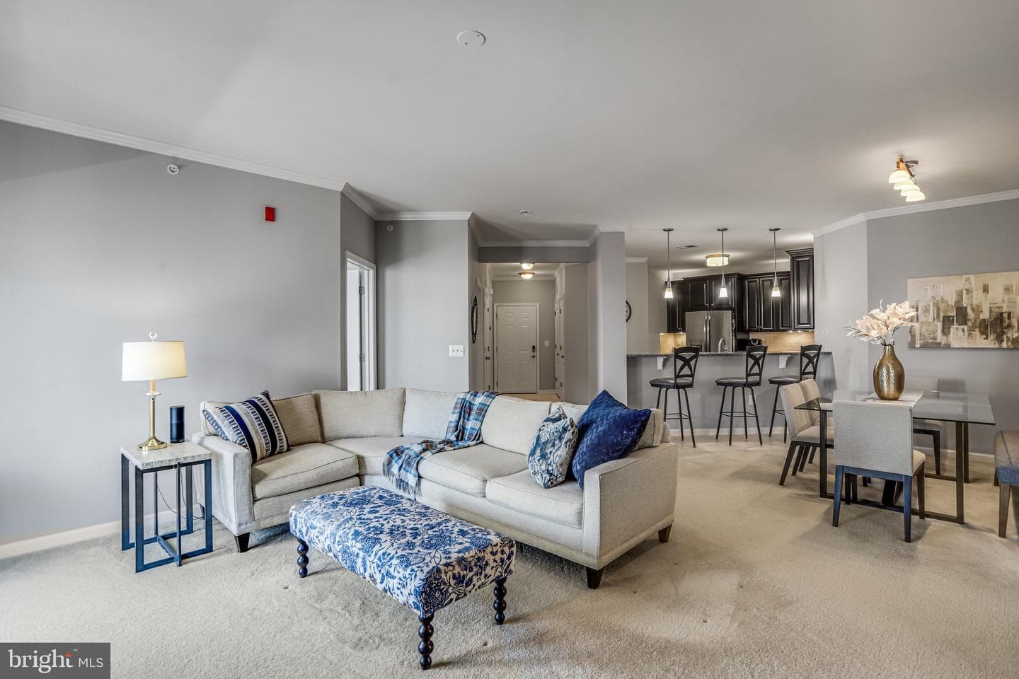 24661 Woolly Mammoth Terrace #401 photo 15