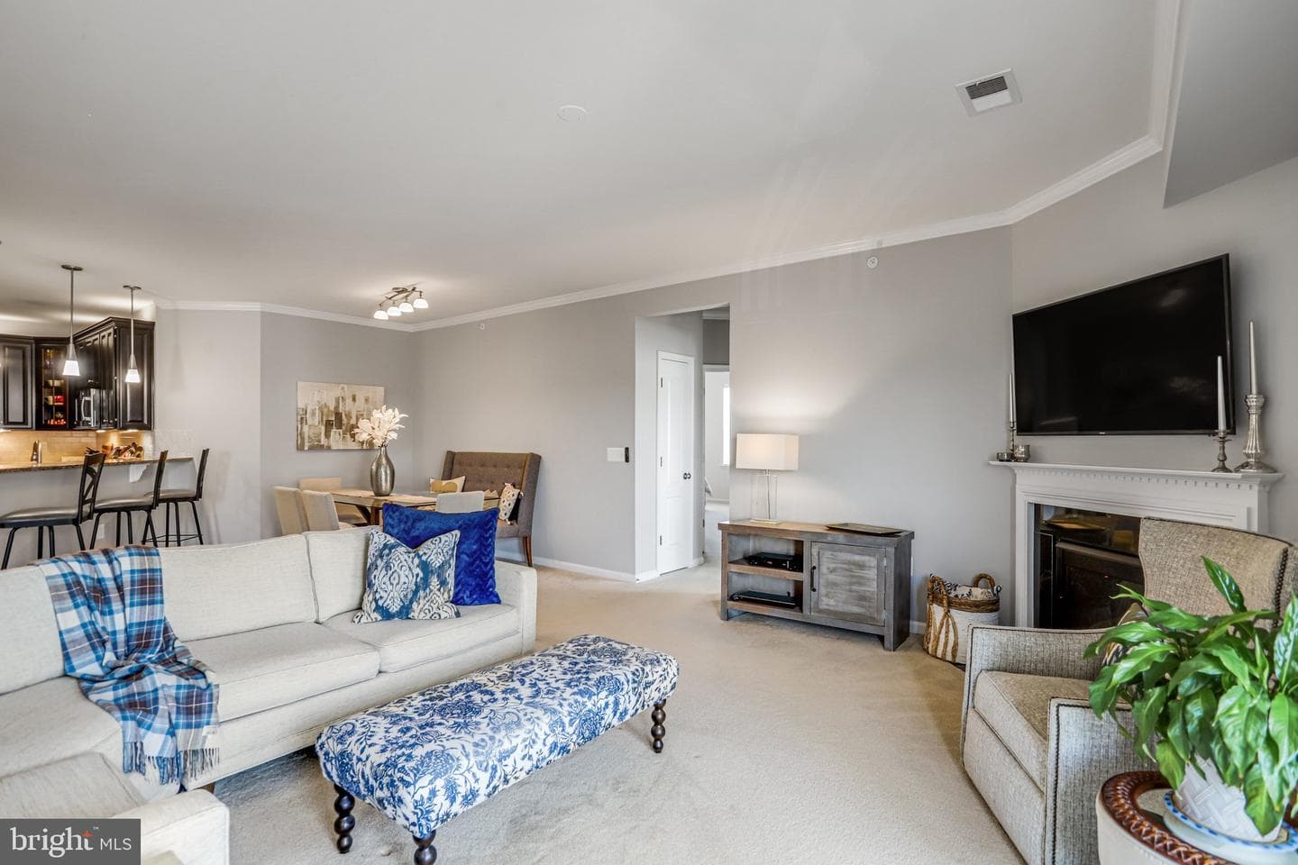 24661 Woolly Mammoth Terrace #401 photo 20