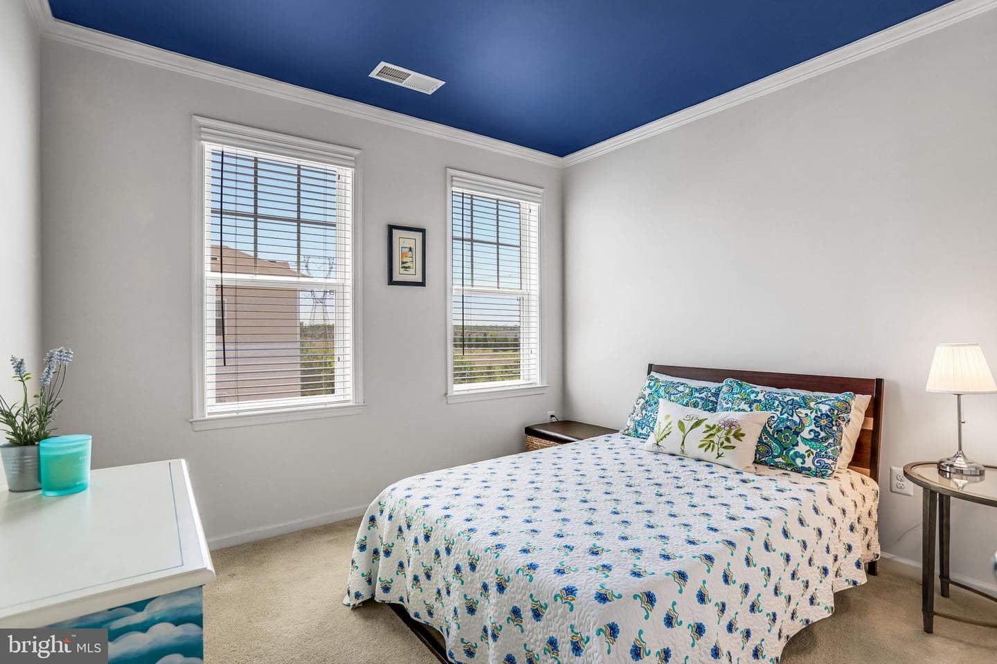24661 Woolly Mammoth Terrace #401 photo 26