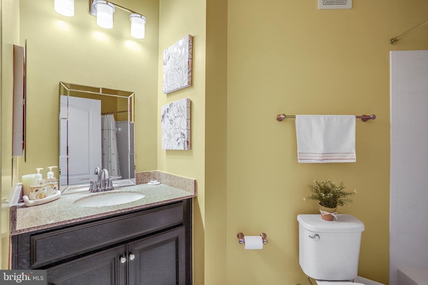 24661 Woolly Mammoth Terrace #401 photo 29