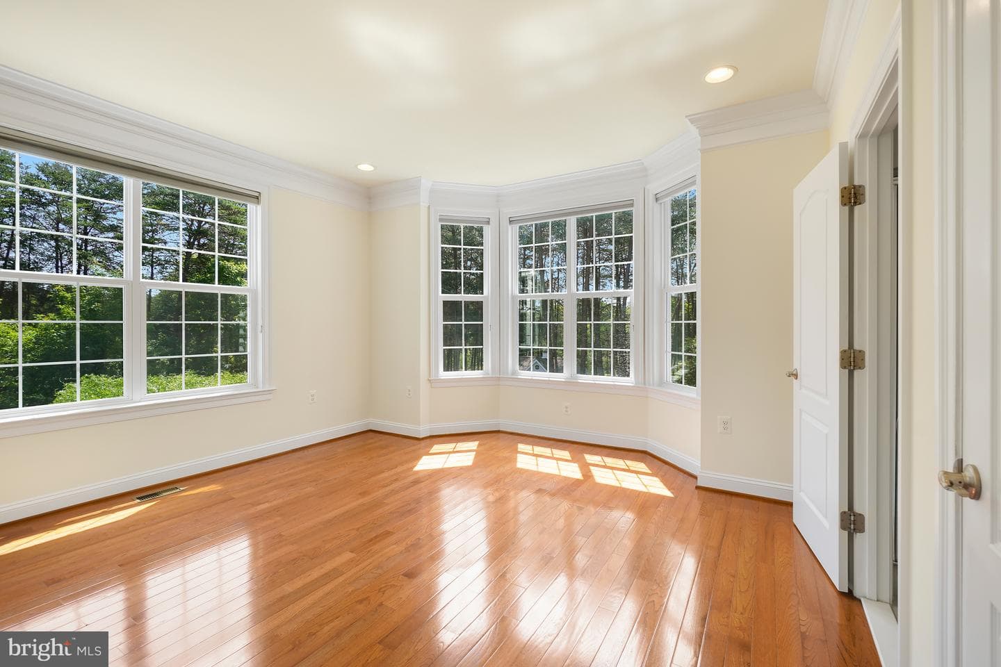 42115 Pleasant Forest Court photo 14